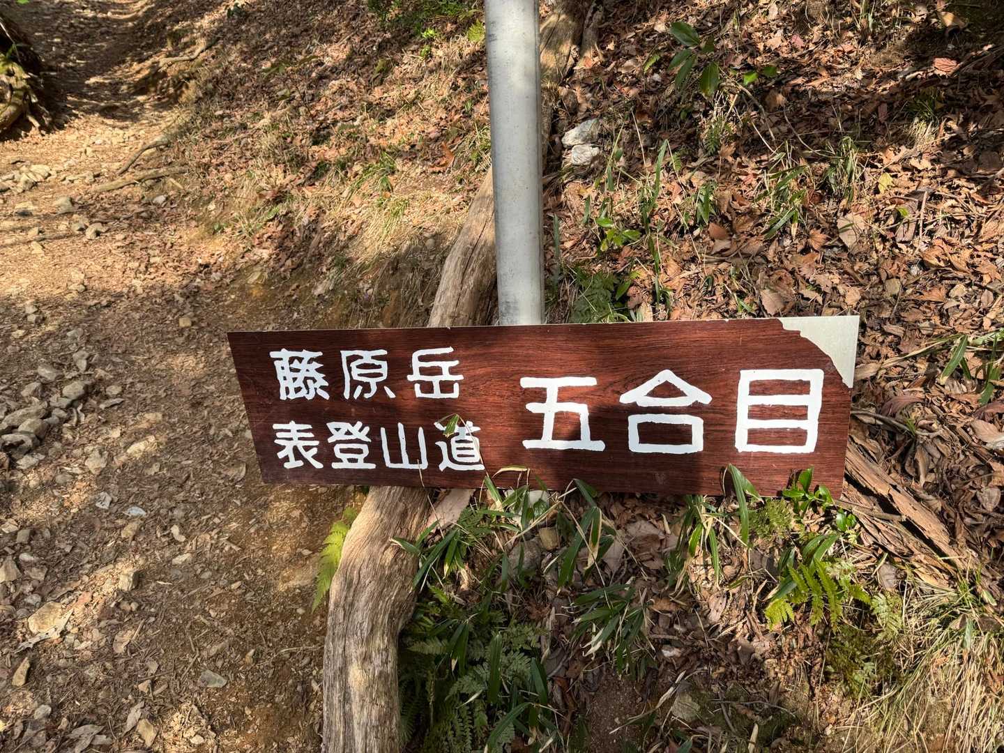 やっと半分💦