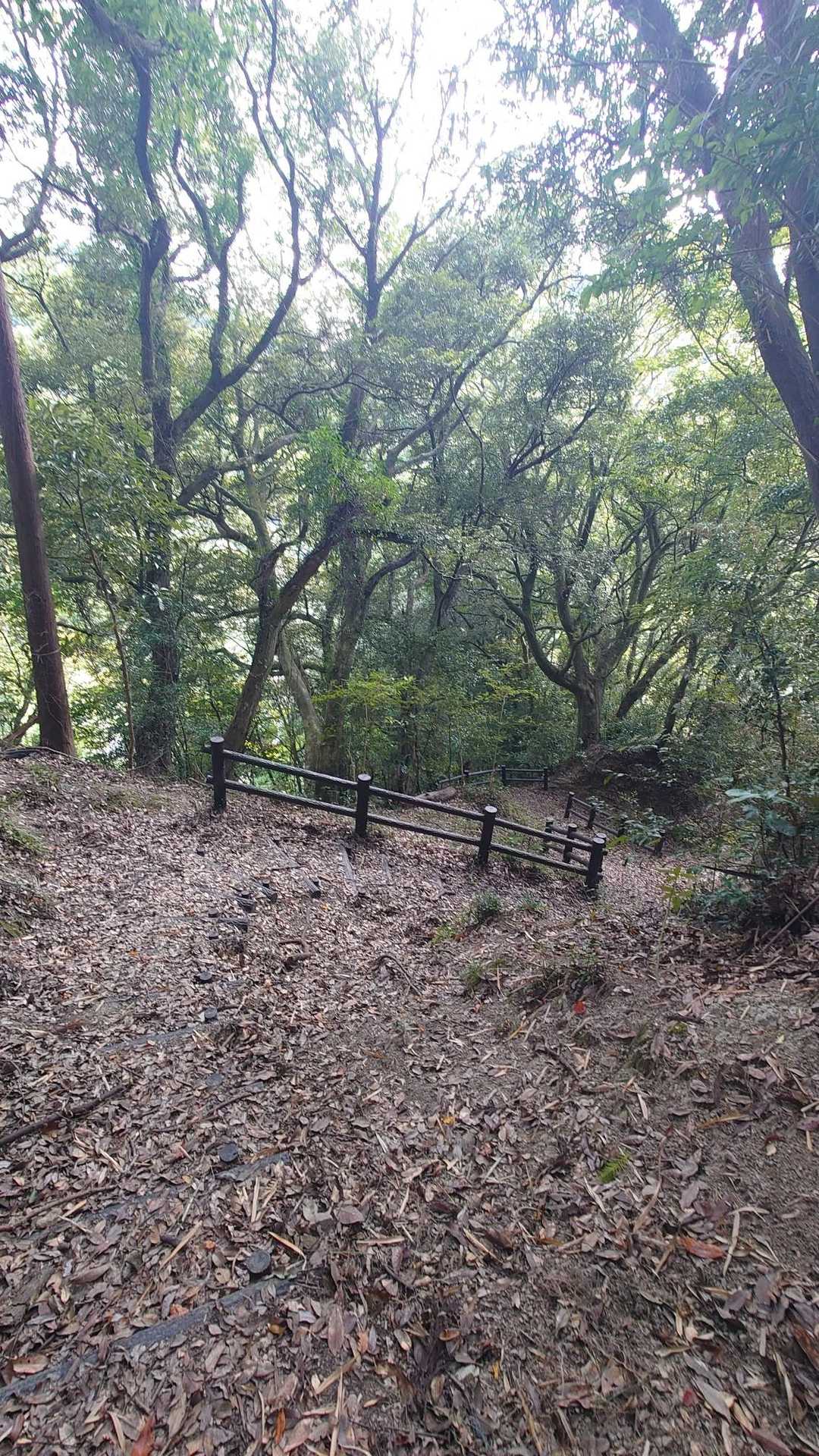 最後の急坂です。