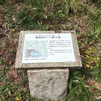 ここから登山スタート▶️