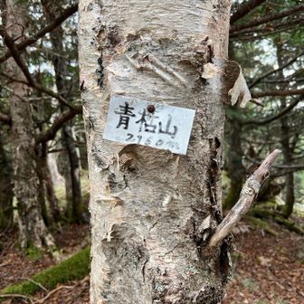青枯山
標識を帰りにみつけた
