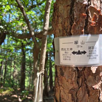 柳山261m
山頂プレートどこ～　見つけるのヘタなんかな