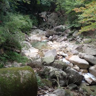まだまだ続く