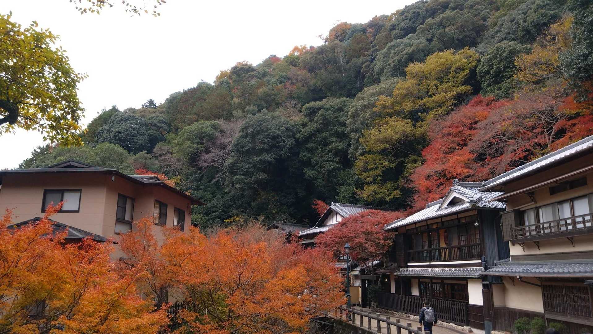 天上ヶ岳-石子詰登山口 周回コースの写真