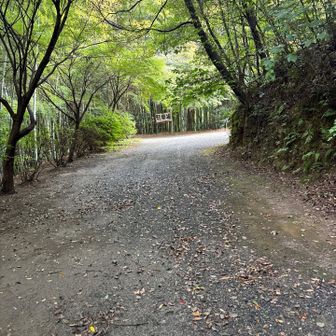 駐車場🅿️とあるので
進んで　迷いました🤣😝🤣