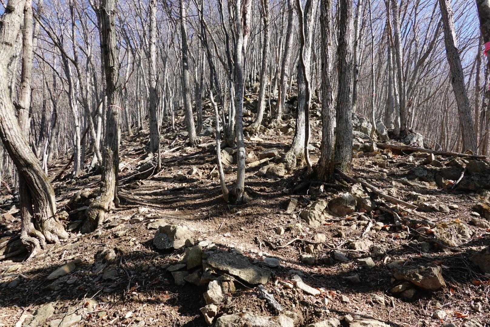 少し急登の岩岩ゾーン