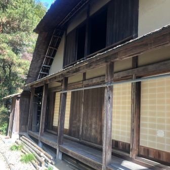 蕎麦やうどんが提供されてます。ご飯頂こうかと思いましたが、混んでて時間かかりそうなんでパスしました。