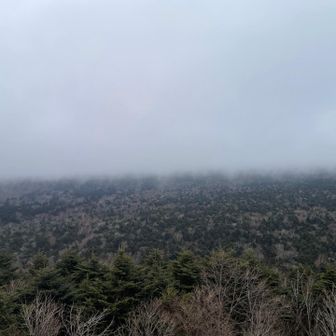 今回もピークを取って無いので、サクッと腰切塚に登頂
やっぱ富士山は見えない