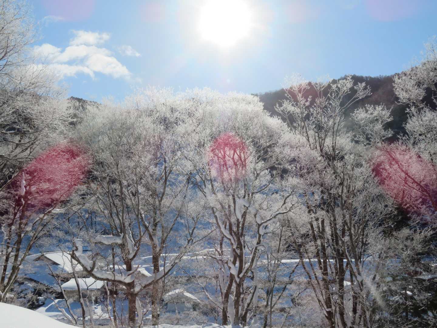 太陽と霧氷
