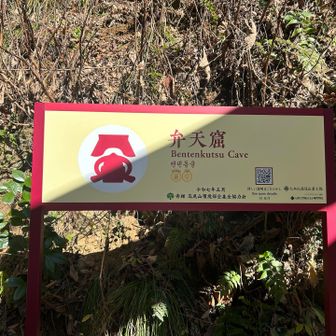 中から出てきました〜