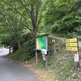 御前岳登山口

左向こうに見える駐車場は登山者はご遠慮くださいとのこと。
わたしはこの登山口前に路駐させてもらいました。