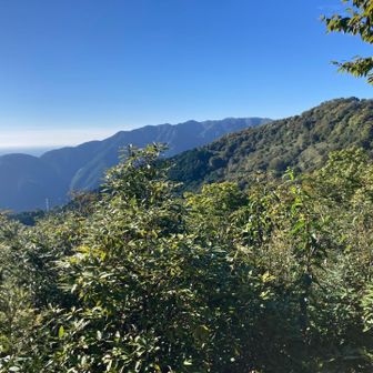ムネ山方面?