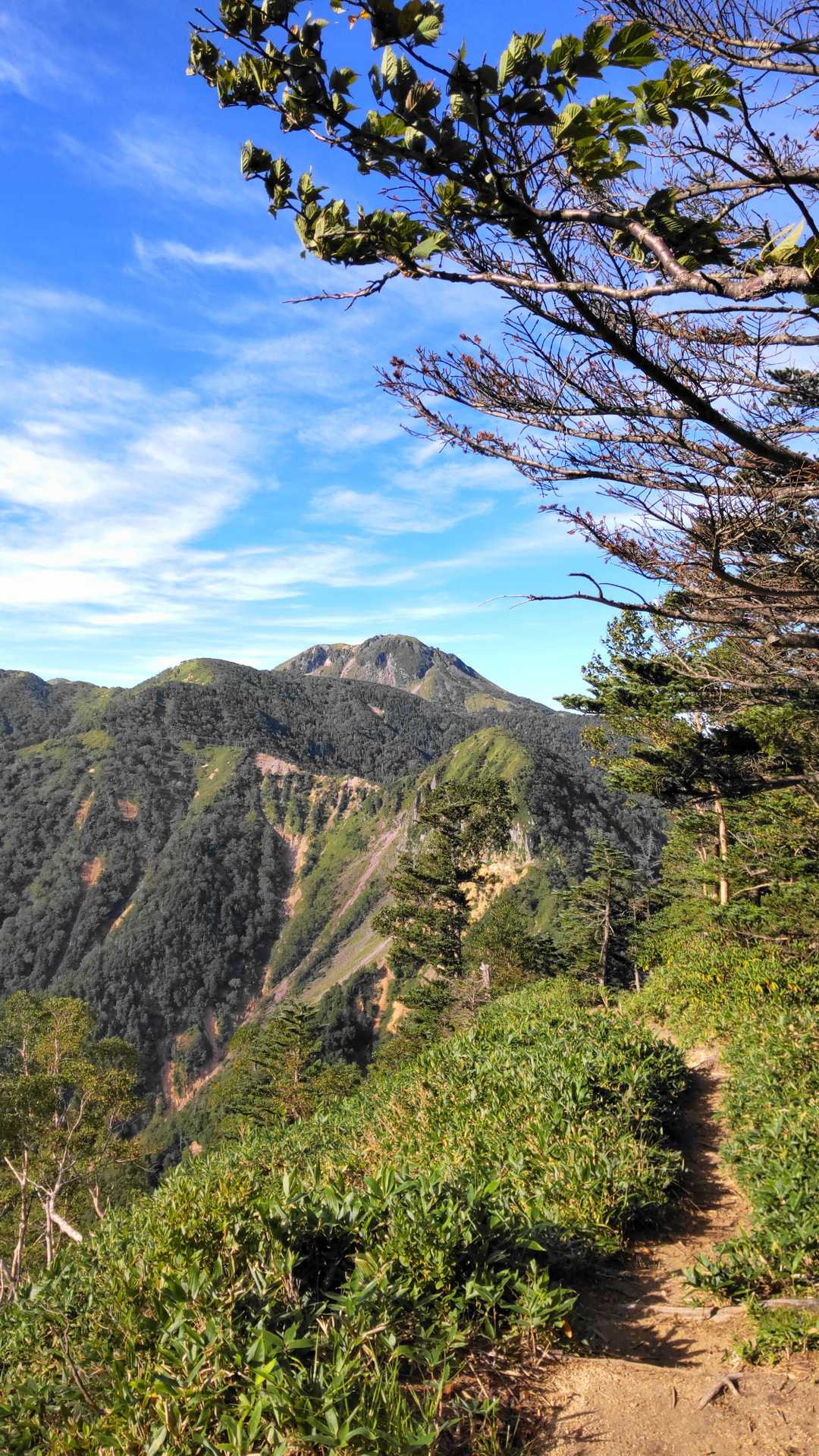 振り返る度に良い景色
日光白根山の頭が見える
