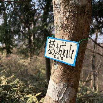 葛城修験道の大和、中、南、そして今回の和泉葛城山で『葛城山』コンプリート⛰️