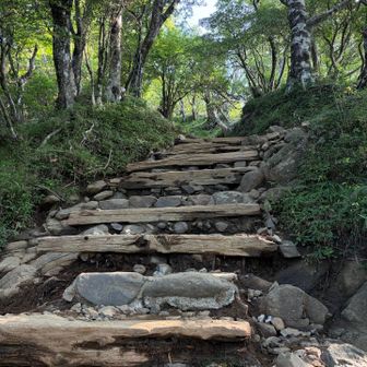 ここは、登りで見上げると「うへぇ😫」と思うけど、実際は、下りのが怖い😨