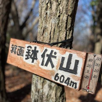 今日の最高峰⛰️
眺望はなし🙃