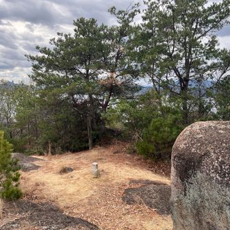 尾根道をたどって、山頂に到着。