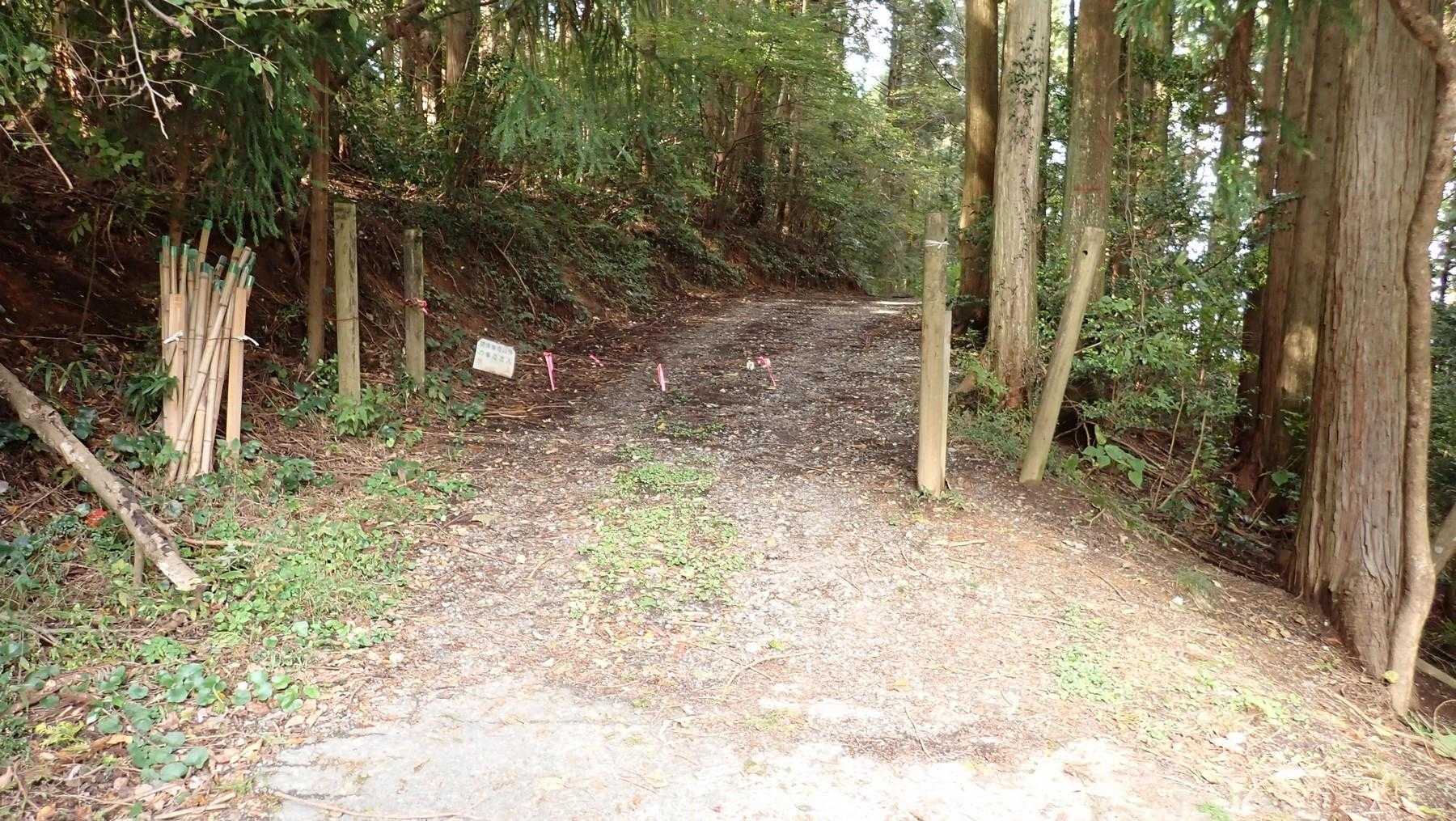 最初は砂利の林道歩き。