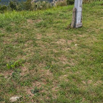 先ずはインキョ岳
違うってば
かくい岳を先にGET
九州自然歩道なんですけどね
