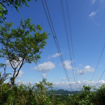 展望はほとんどありません