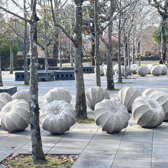 <ほおずき・コブシの森>
西川　勝人