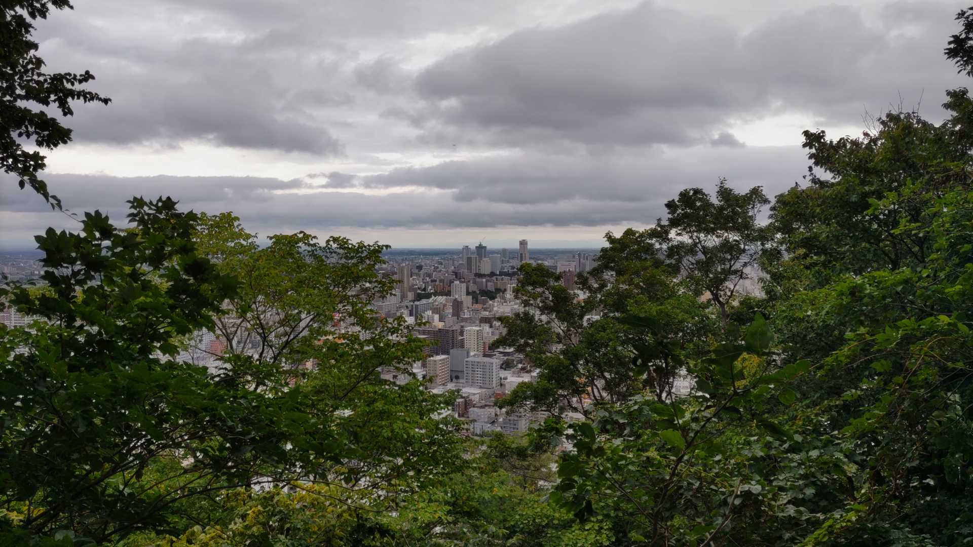 円山 往復コースの写真