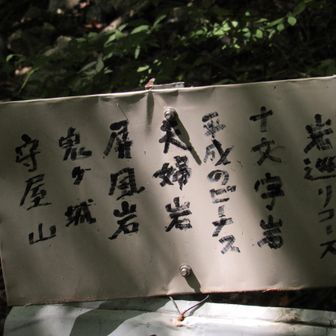 屏風岩は見過ごしたみたいでした