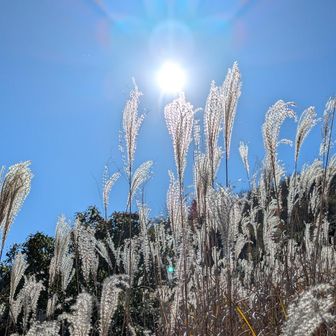 ライトゲーマー8810