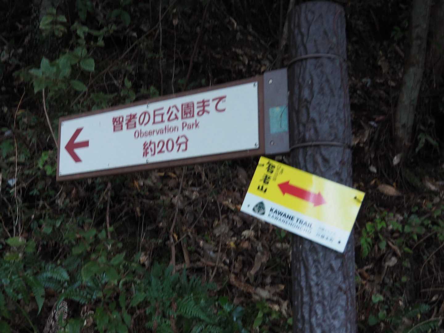川根トレイルの表示があります