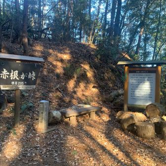 赤根が峠でした。