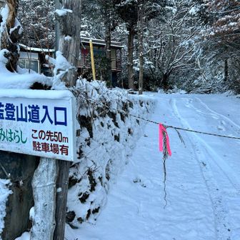 林道歩きスタート、軽トラのタイヤ痕を辿ります