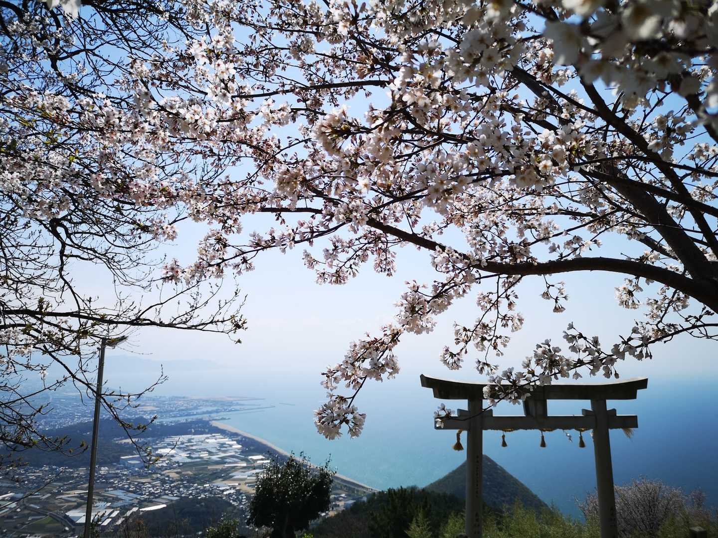 天空の鳥居×桜×空に溶け込む瀬戸の海
綺麗じゃ～✨