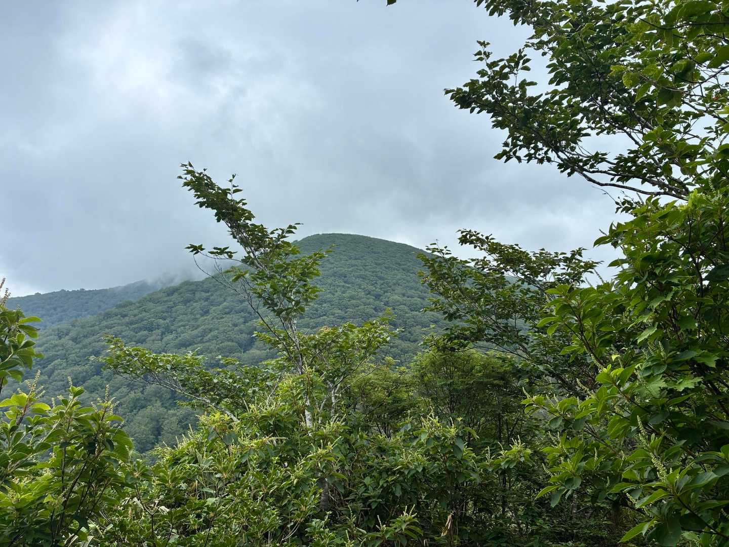 ここで山頂が見えた
遠いな～