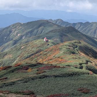 頼母木小屋🛖