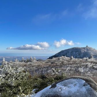 来てよかった😊
HIDE「ほらサングラス落としてよかったでしょ」
で、結局サングラスは見つからなかったというオチ付きよ😅