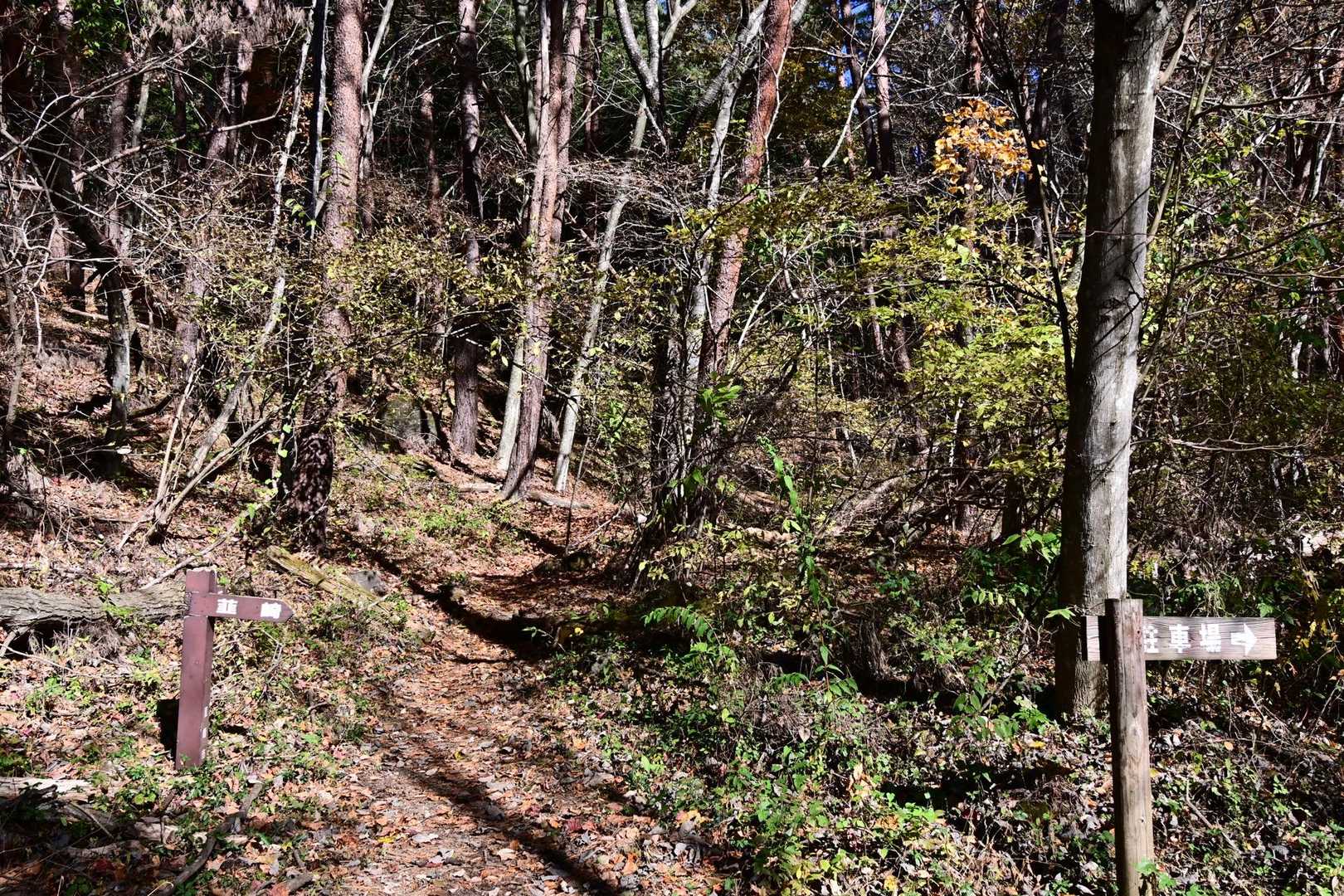深田公園入口-茅ヶ岳-大机 周回コースの写真