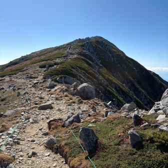 まだ登りは続く。
