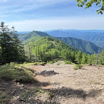 山頂から振り返り見る景色と流れるような雲も子供の頃から好きだ。遠く奥多摩や相模湾までも見えている。