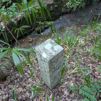 気になる場所が有るので⇦左側岩屋ルートへ🧑‍🦯