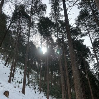 降りて来て14時過ぎ頃に☀️がやっとこ顔出した😅
頂上付近でも真っ白の空に☀️の存在だけはあって、サーっと晴れないかなと思ったけど全く気配なかったもの😂