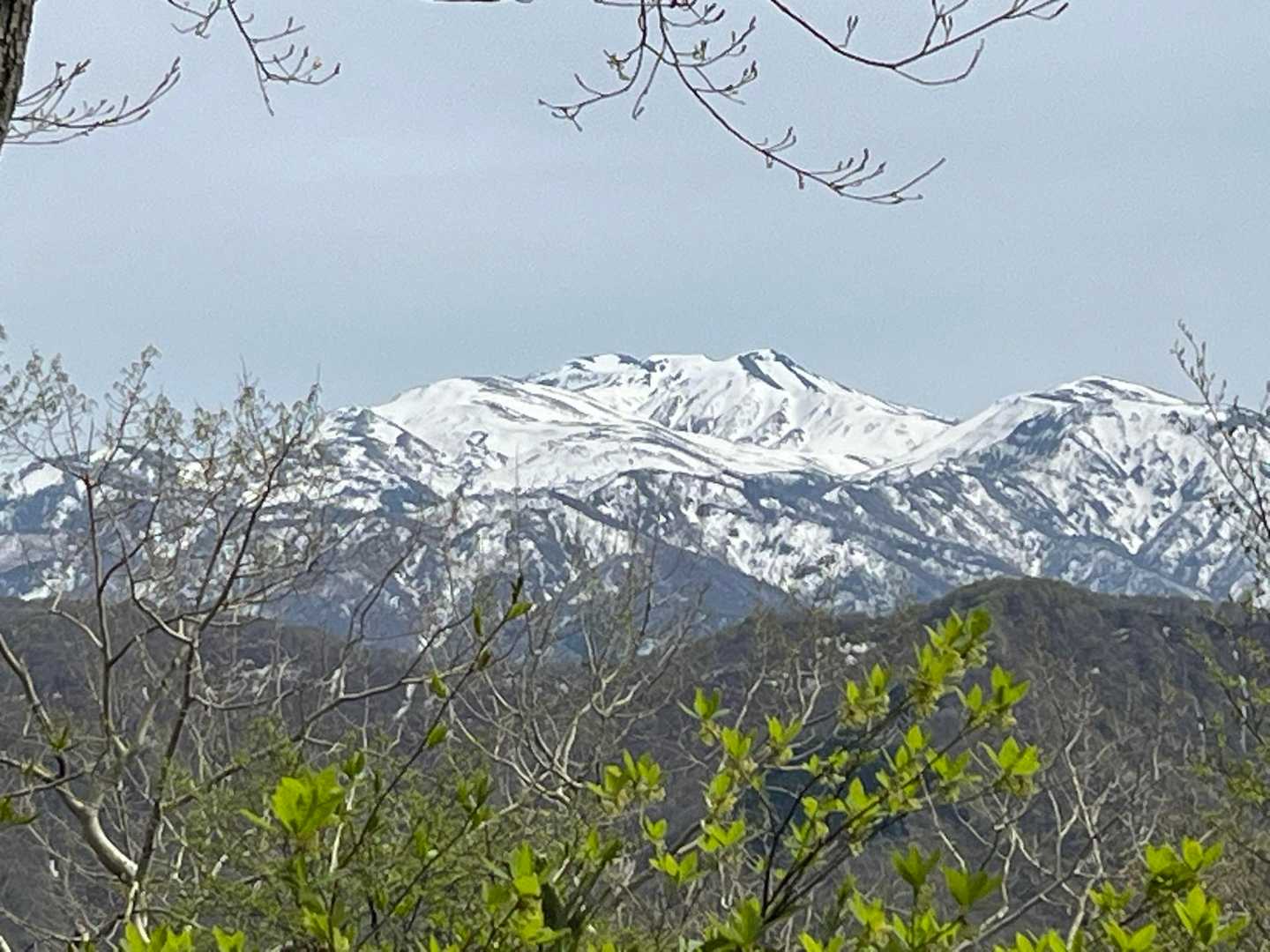 大恐山 往復コースの写真