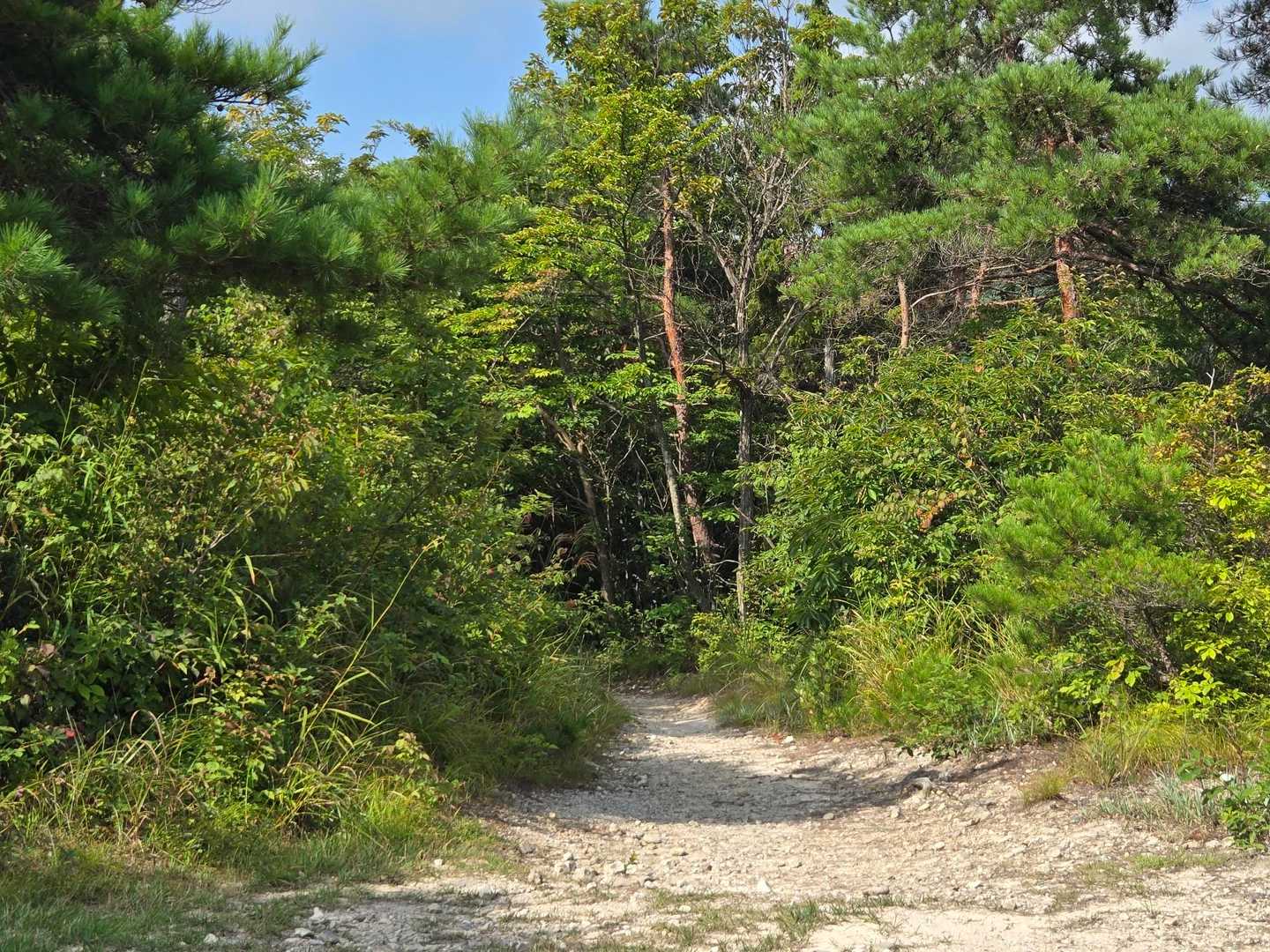 大峰山方面