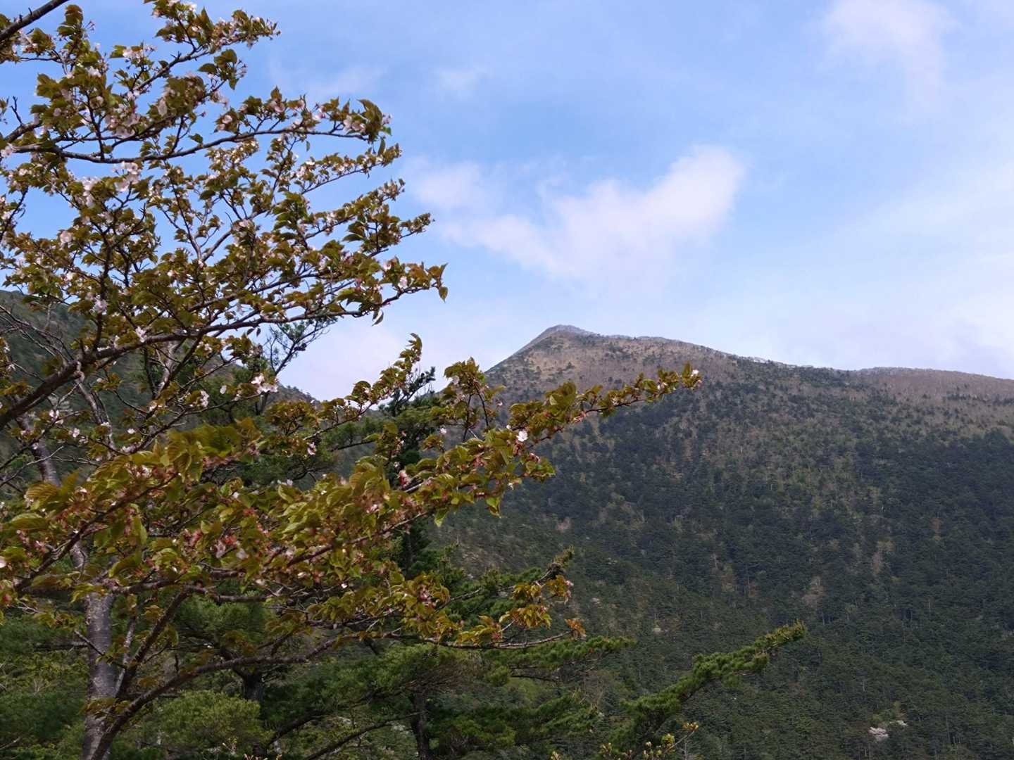アポイ岳-入林届出所-冬島登山口 縦走コースの写真