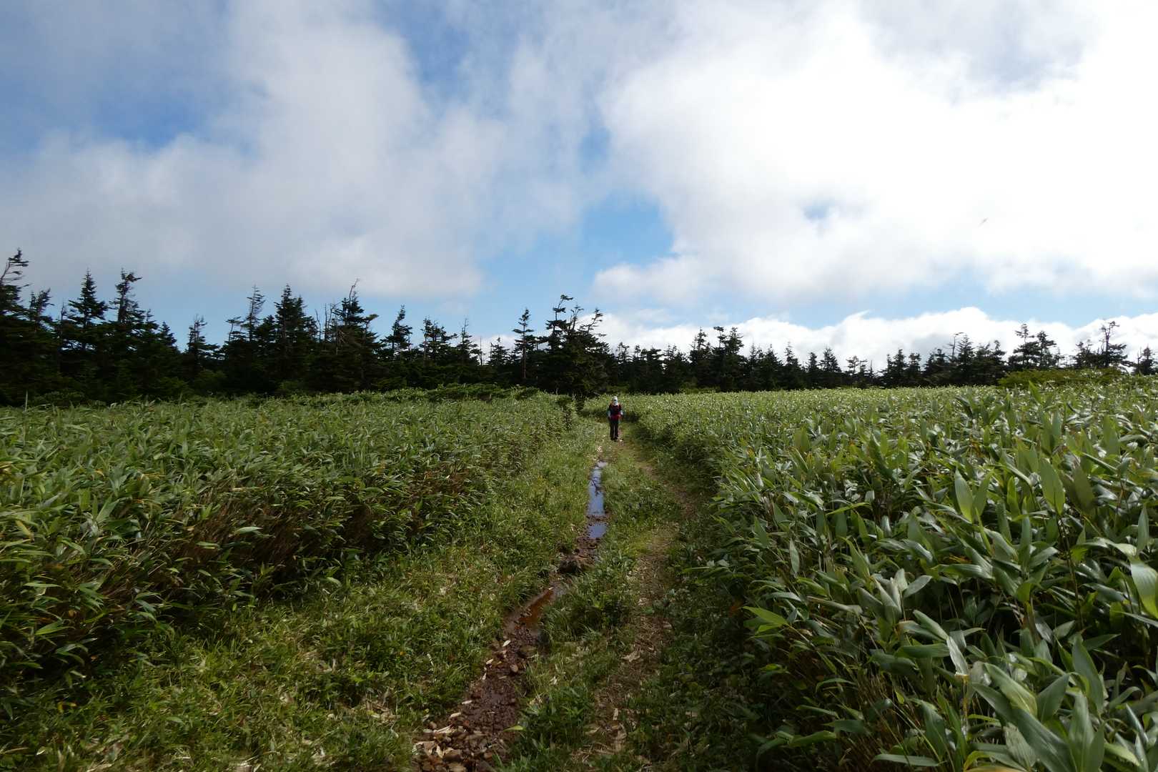 縦走路を歩く隊長