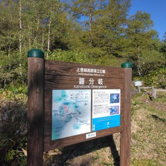 8月にペンキ塗りした看板