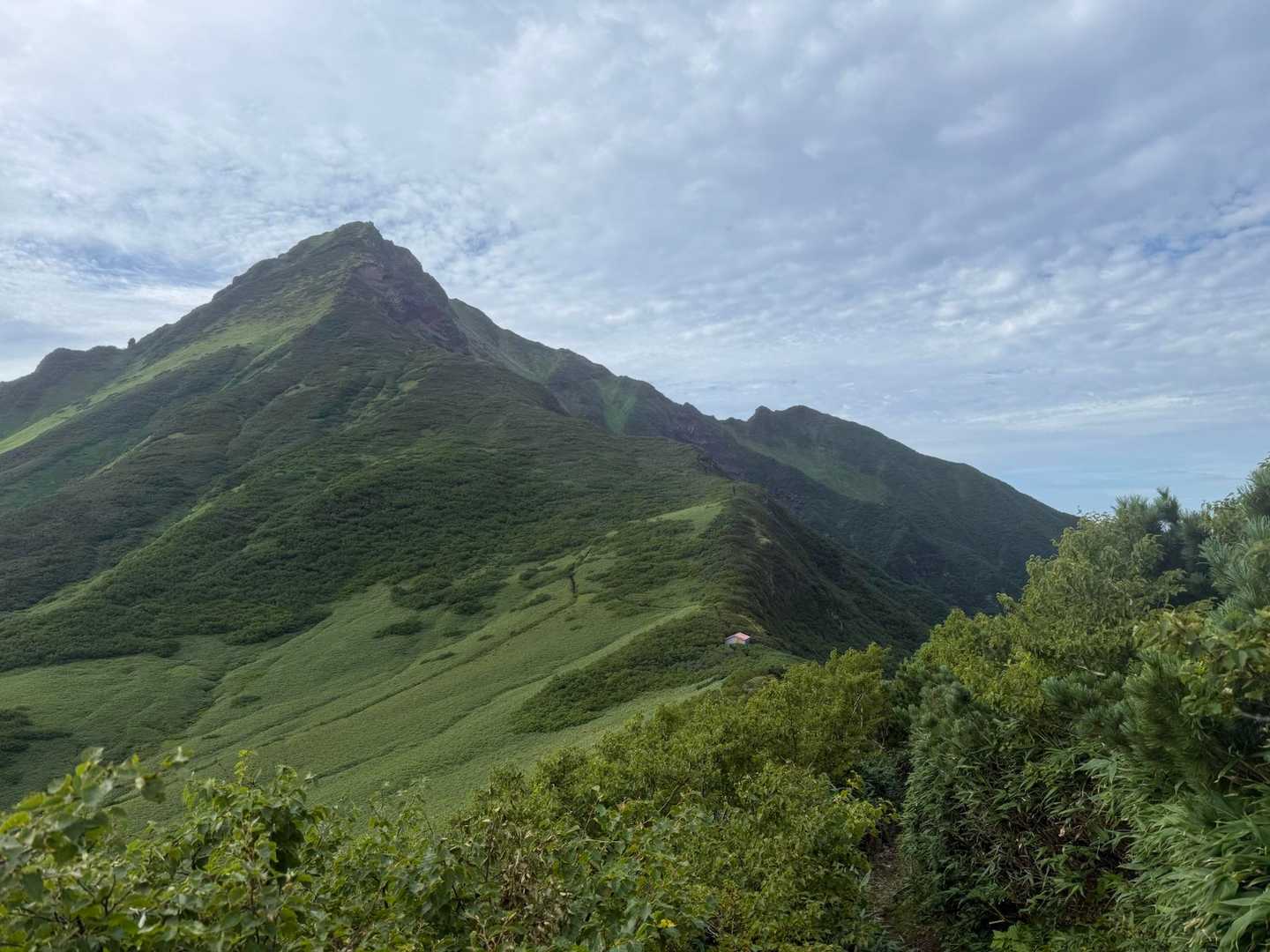 ここでいきなり現れる利尻山山頂部はカッコ良すぎて感動すらします。あと1時間✊