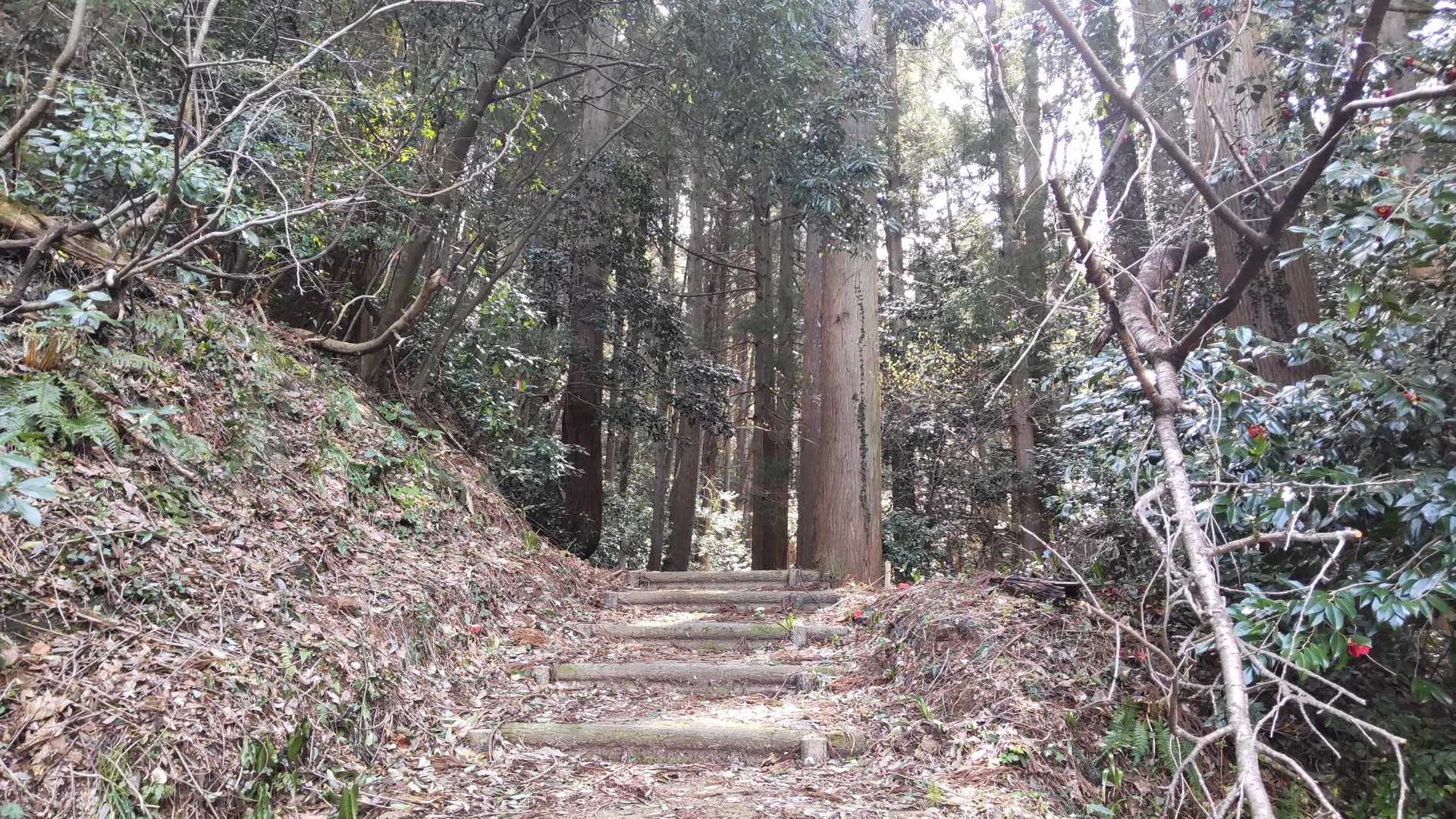 歩きやすいけど結構  急💦

