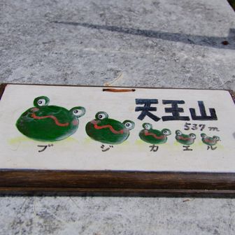 東海方面で見られるこのカエルちゃんの看板🐸
かわいい🩷