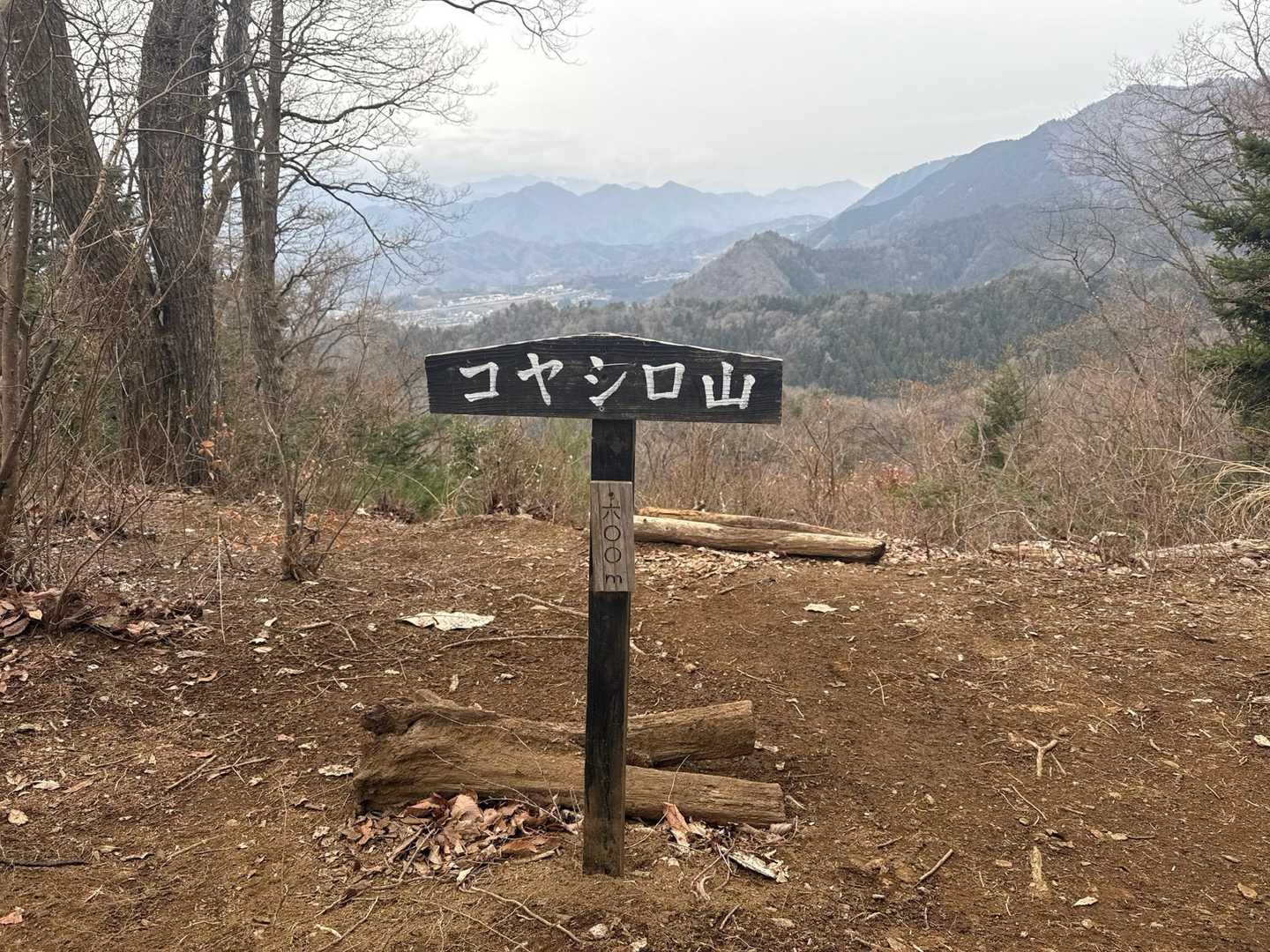 3座目　コヤシロ山登頂！