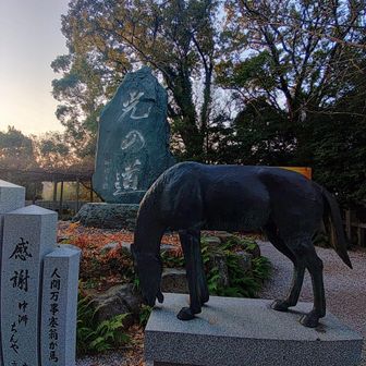 うま年なので、とりあえず写真を撮る