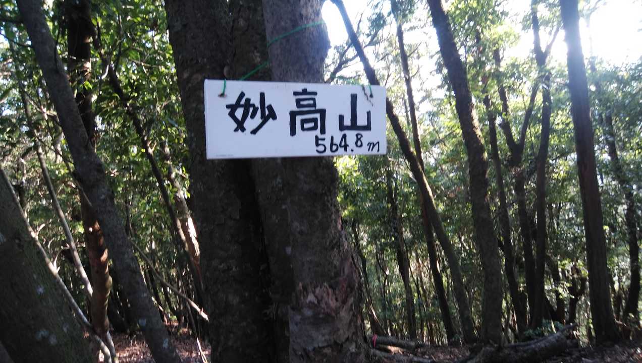 着きました